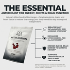 Nelvexa - Astaxanthin 12mg Softgels - Naturally Restores Circulation, Energy & Protects Vital Organs
