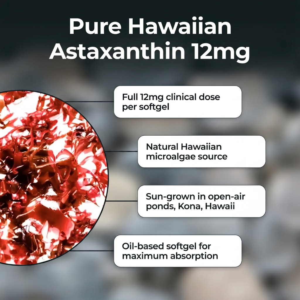 Nelvexa - Astaxanthin 12mg Softgels - Naturally Restores Circulation, Energy & Protects Vital Organs