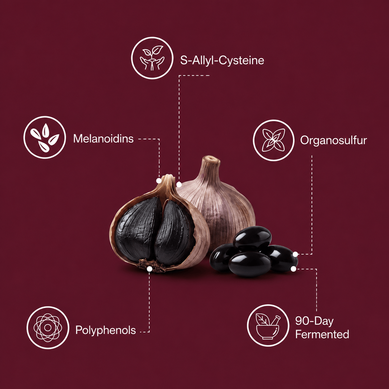 Nelvexa ® - Fermented Black Garlic Restoration Protocol
