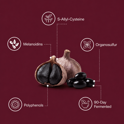 Nelvexa ® - Fermented Black Garlic Restoration Protocol