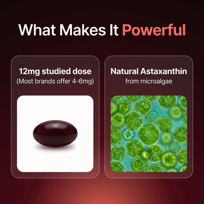 Nature's Most Powerful Antioxidant
